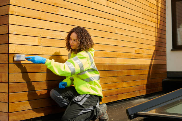 Best Siding Removal and Disposal  in Mount Ayr, IA